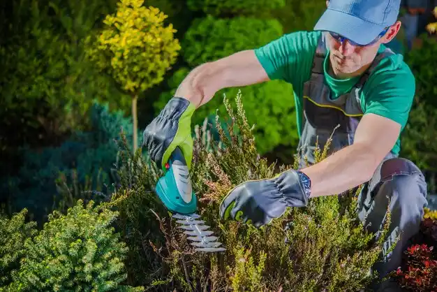 landscaping services Piedmont
